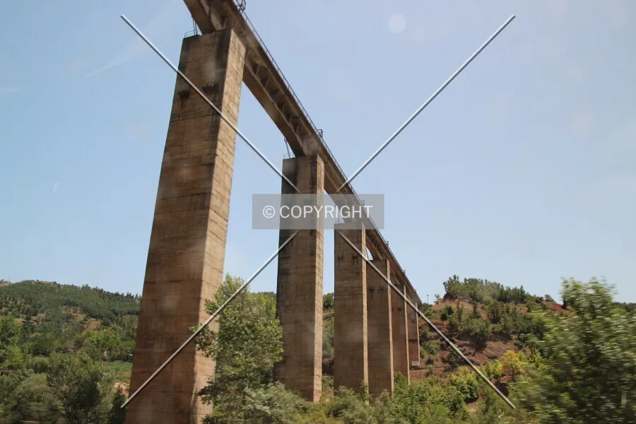 Photo 181-247-545