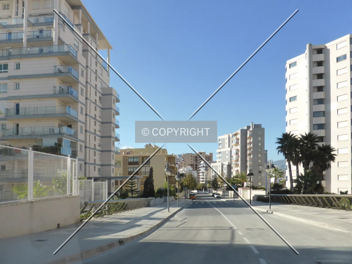 Photo 181-340-845
