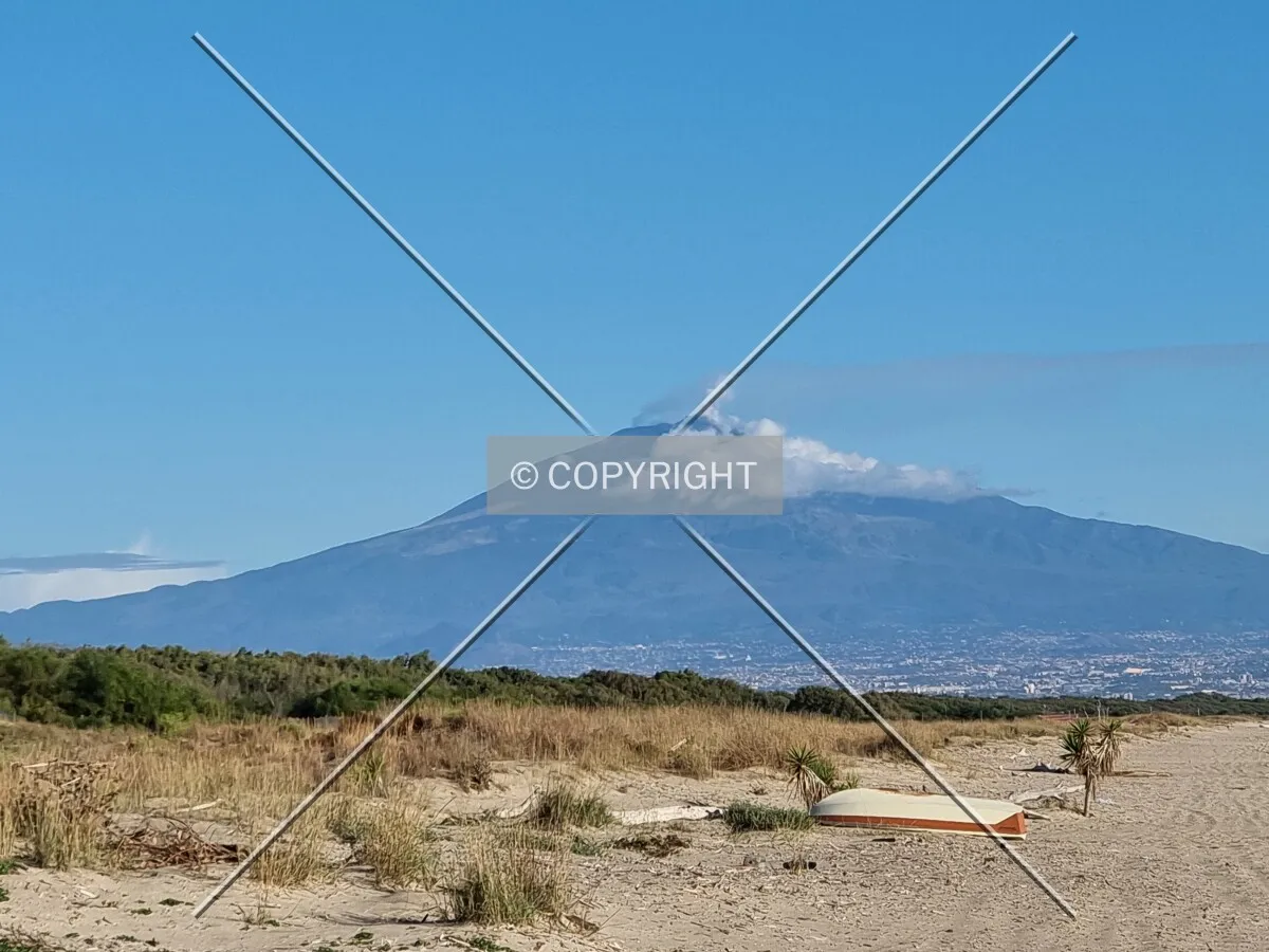Photo 181-566-246