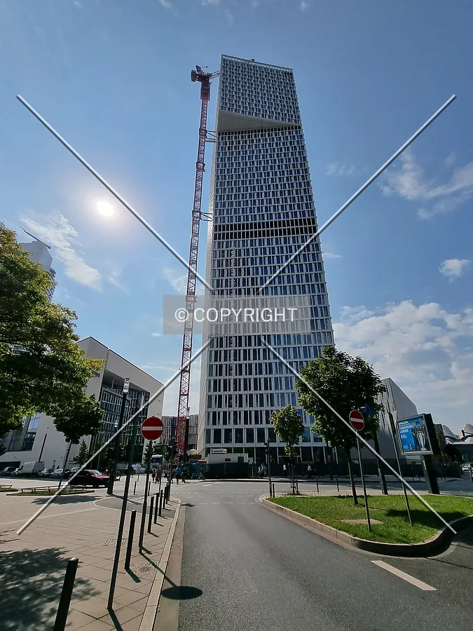 Photo 181-707-645