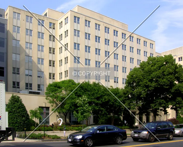 Photo 181-786-218