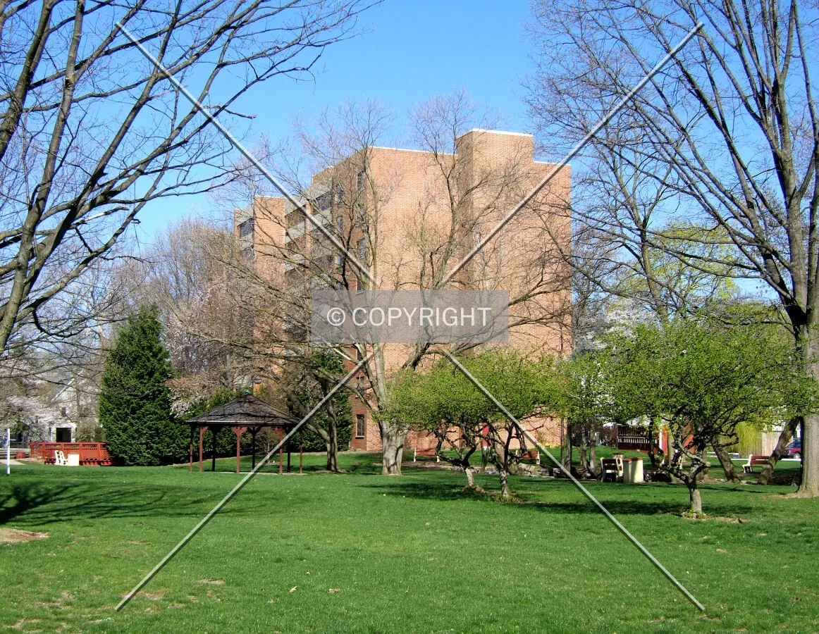View from the southeast
