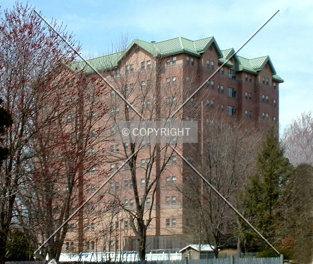 View from the east