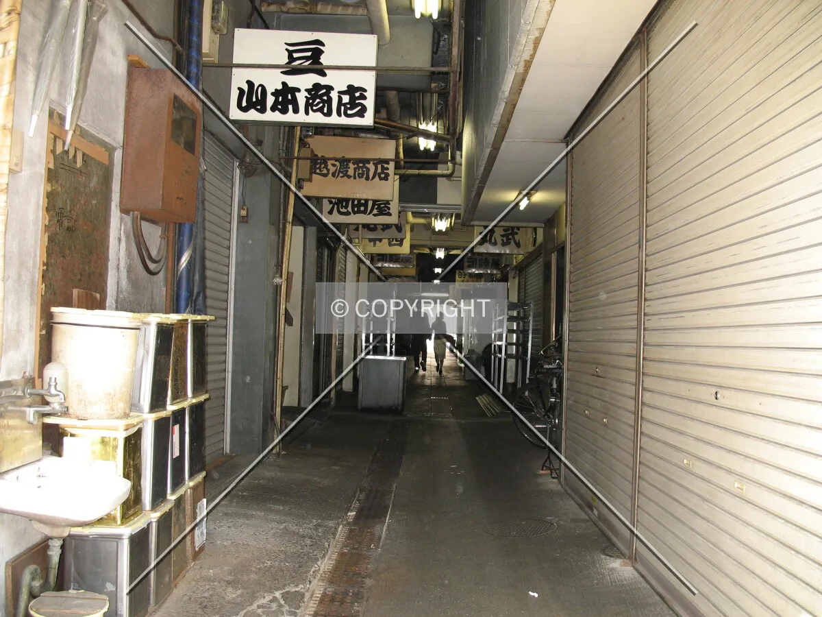Photo 182-246-241