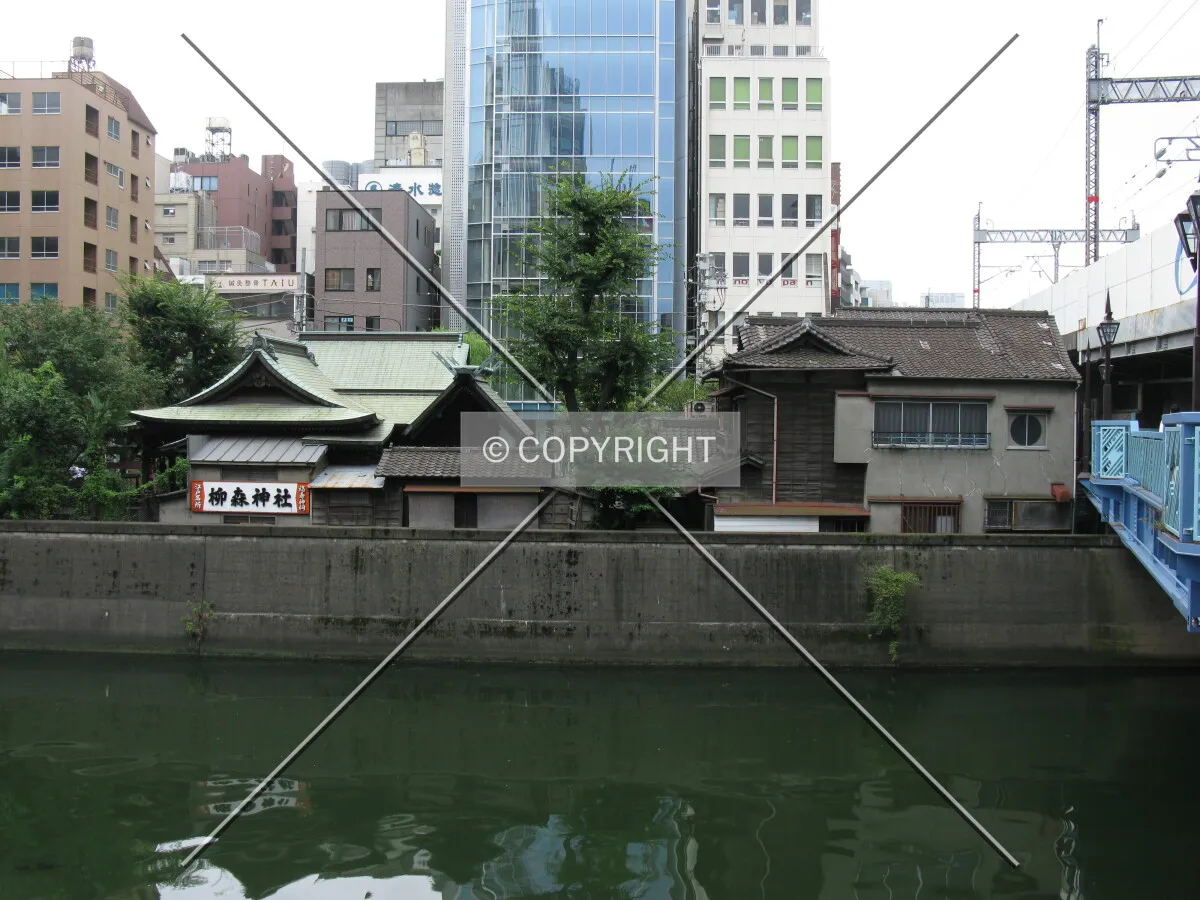 Photo 182-323-603