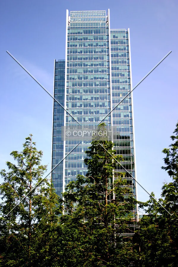 Rising above the trees