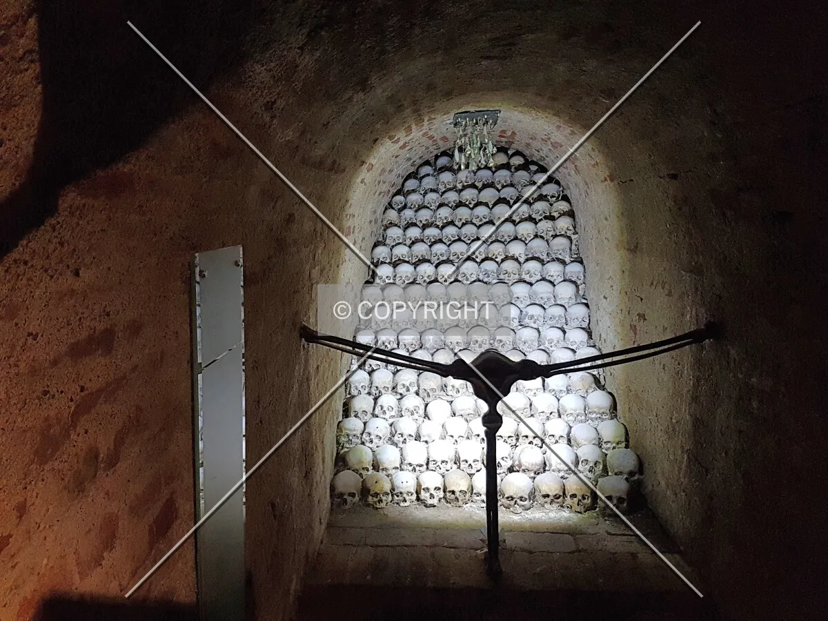 Photo 182-478-823