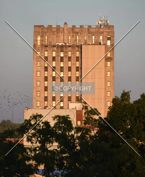 Photo 182-494-217