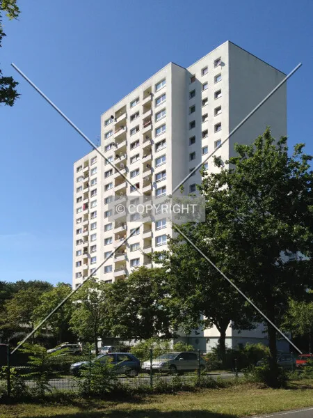 Photo 182-543-714