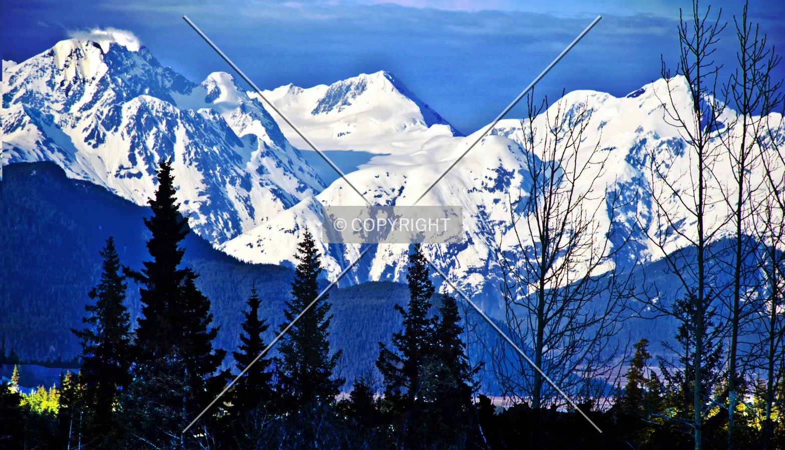 Kenai Mountains, Alaska, U.S.A.
