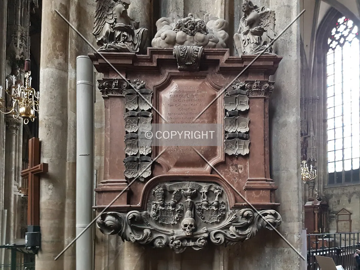 Photo 182-794-312