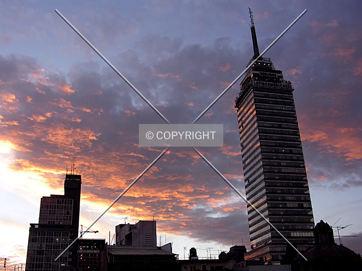 Photo 182-884-543