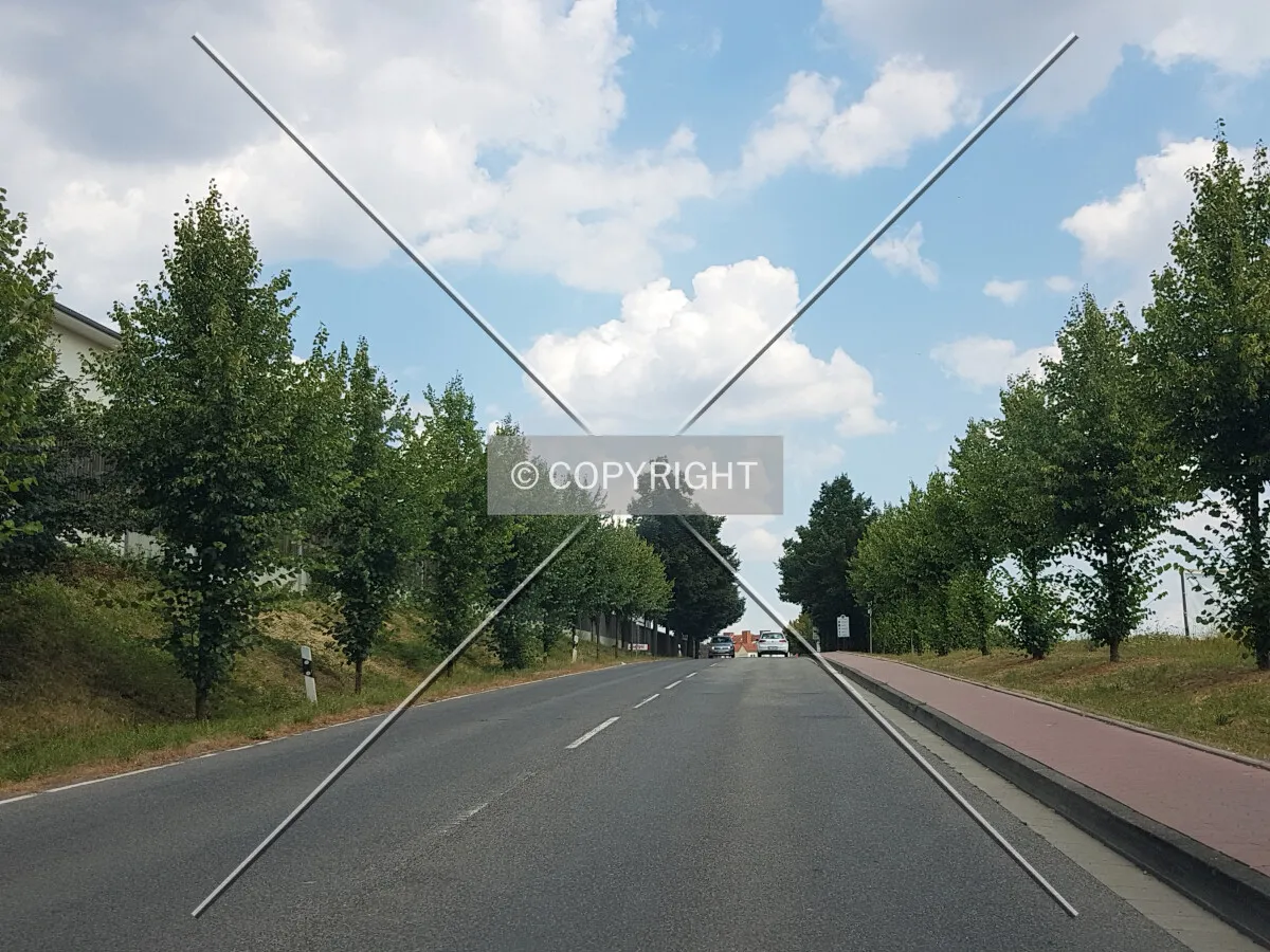 Photo 183-240-271