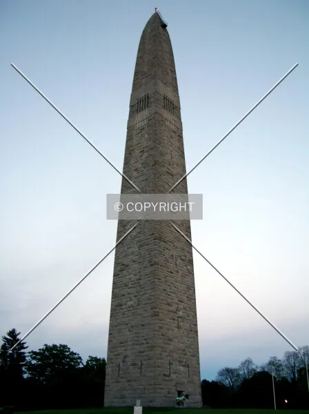 Photo 183-339-541