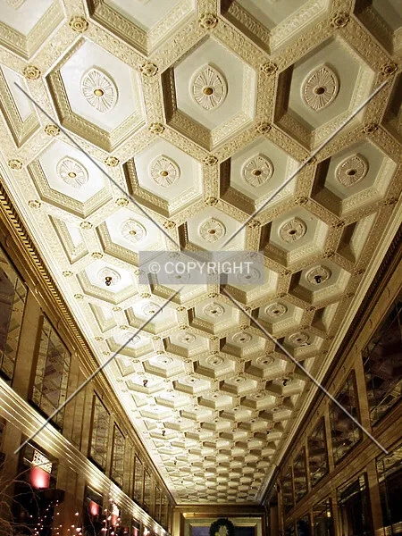 Photo 183-342-509