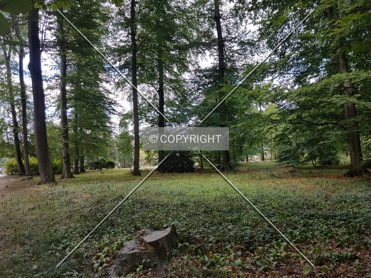 Schloß Wolfsgarten in 2018