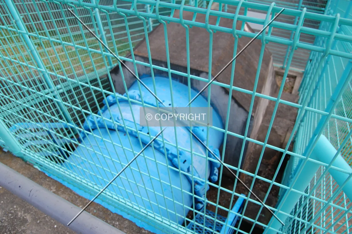 Photo 183-425-472