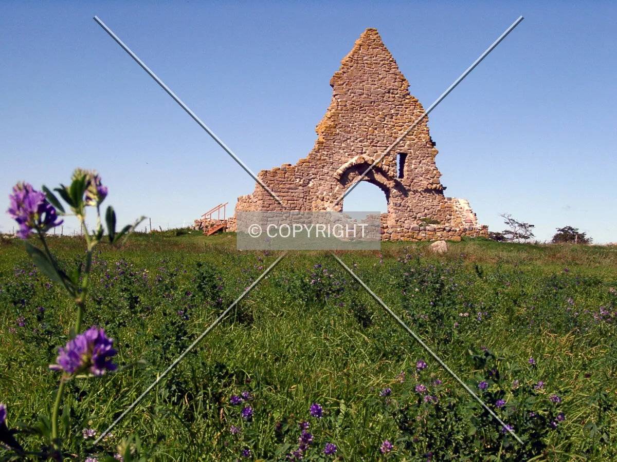 Photo 183-633-579