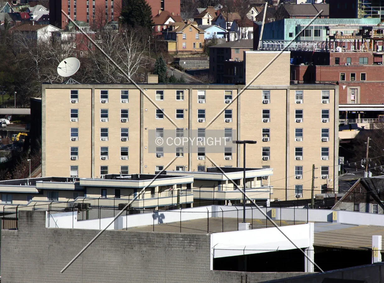 View from the southeast