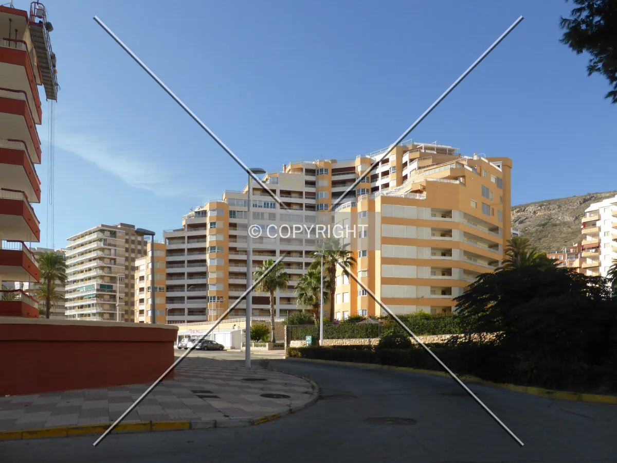 Photo 183-916-892