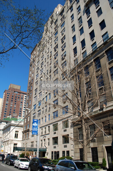 Photo 184-081-711