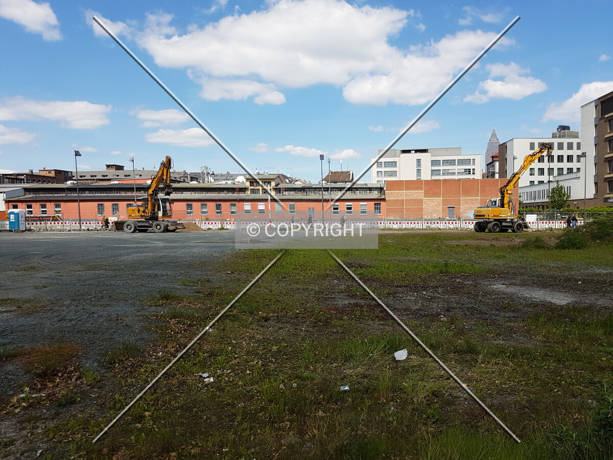 Photo 184-341-690