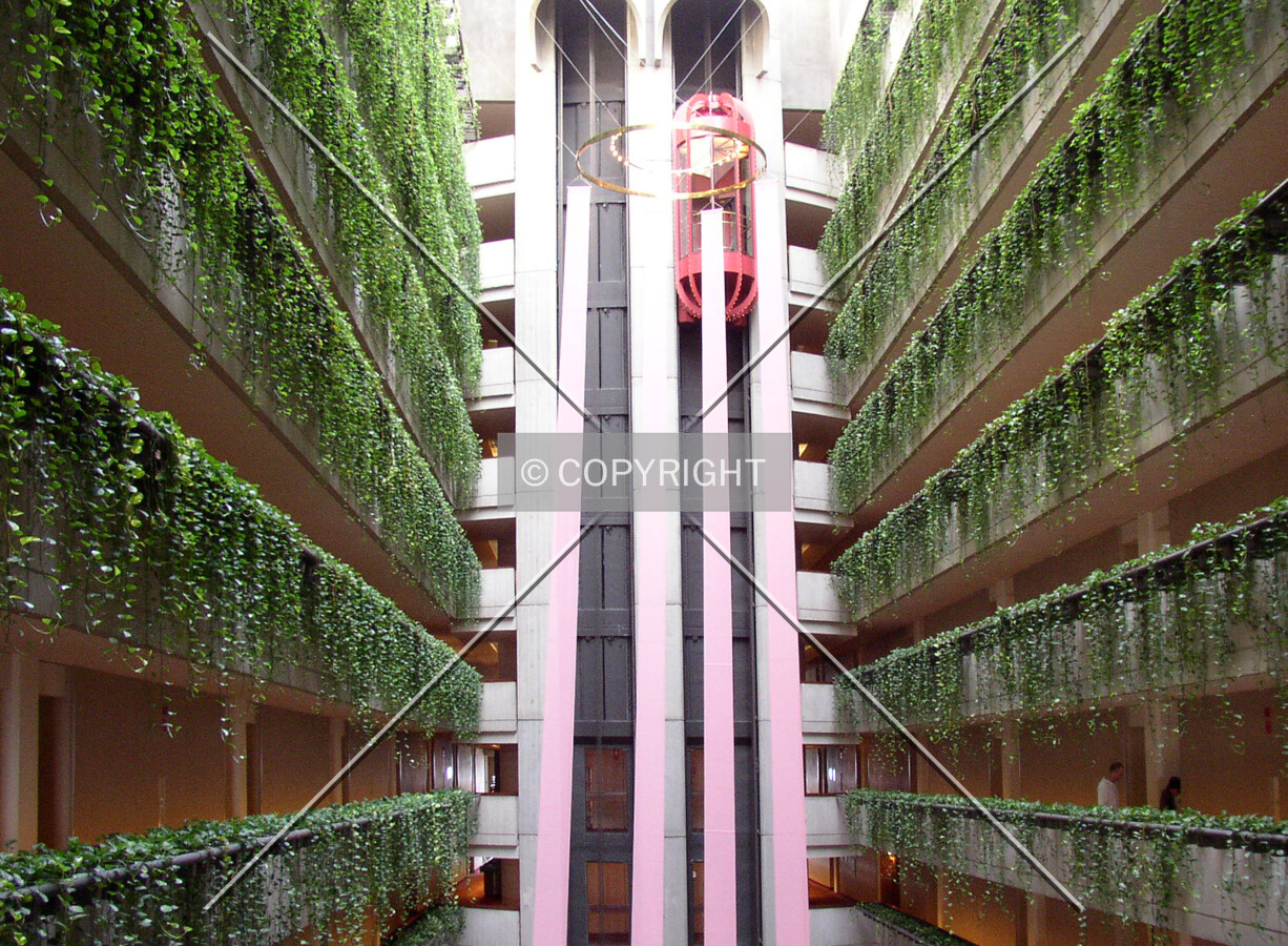 Looking east towards the elevator core on the 41st floor