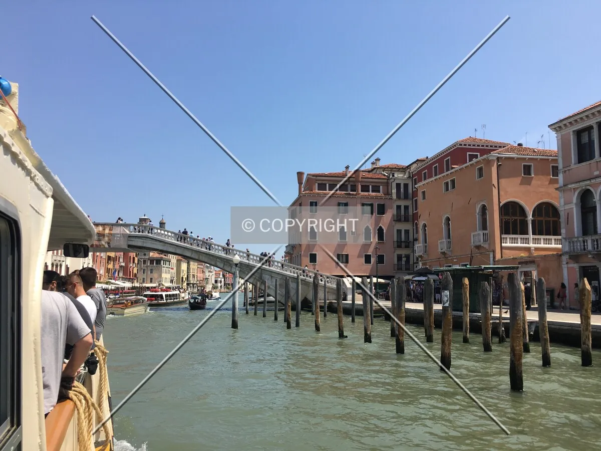 Photo 184-570-942