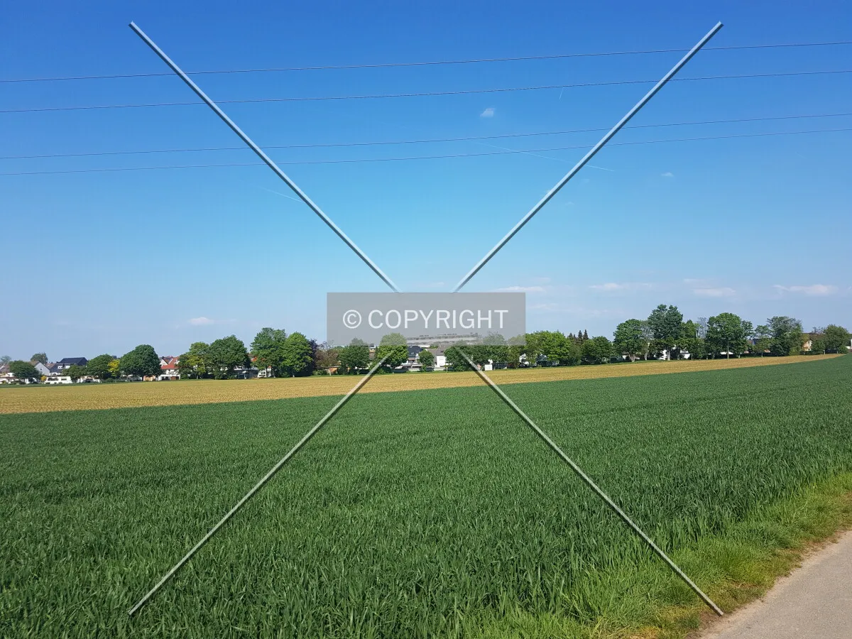 Photo 184-627-331