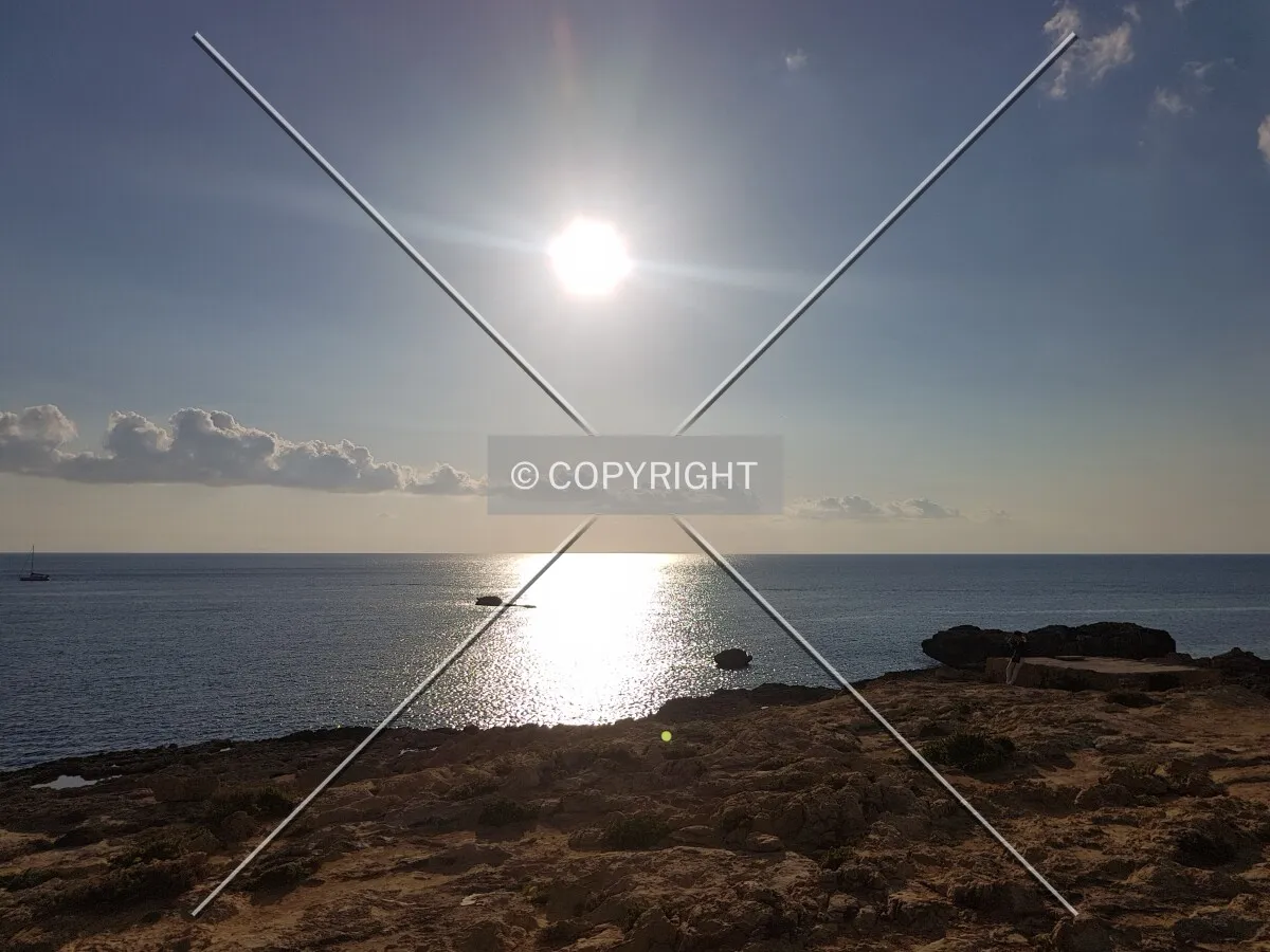 Photo 184-671-935