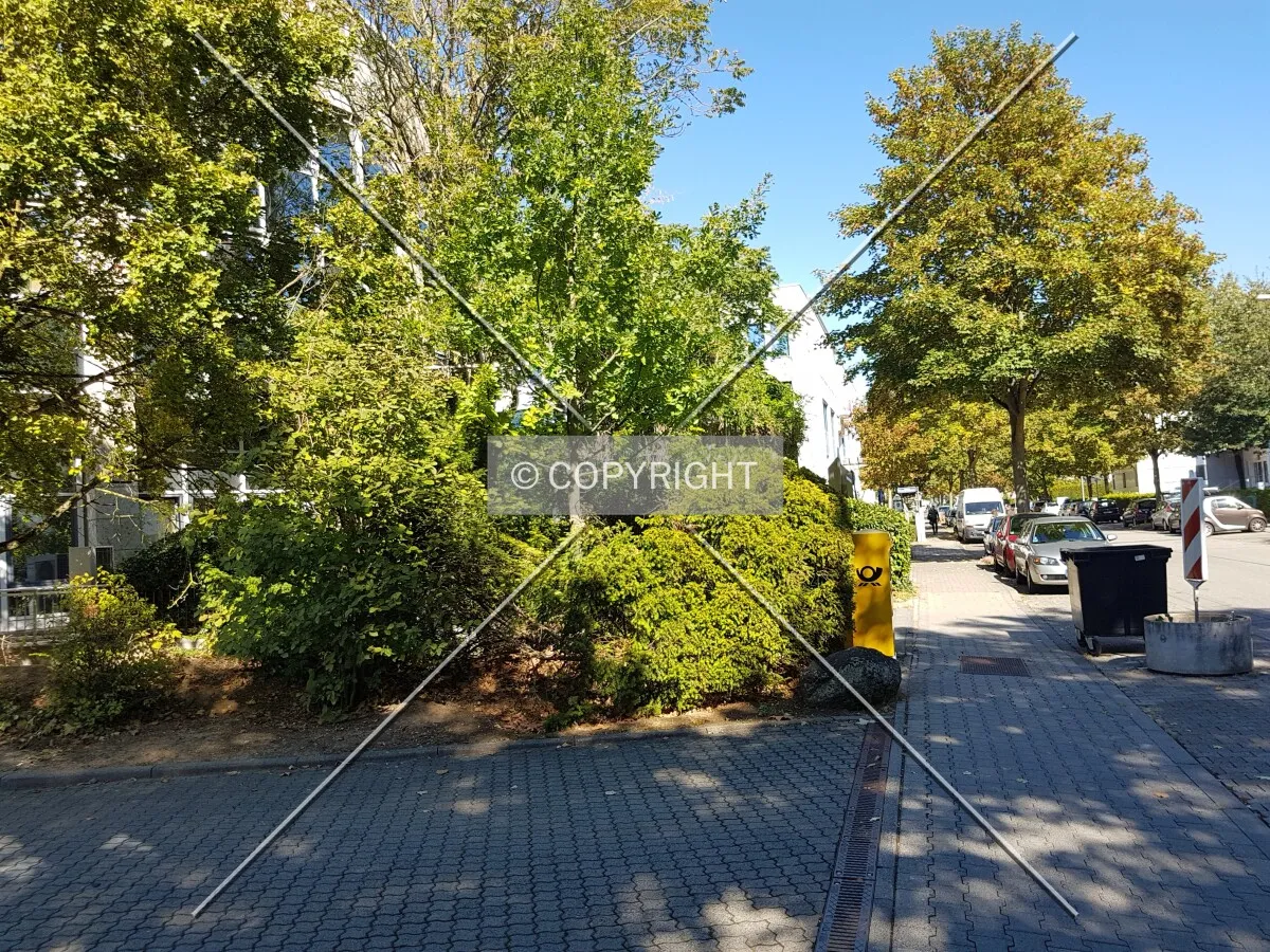 Photo 184-708-557