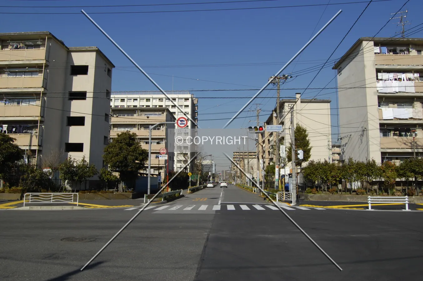 Photo 184-797-733