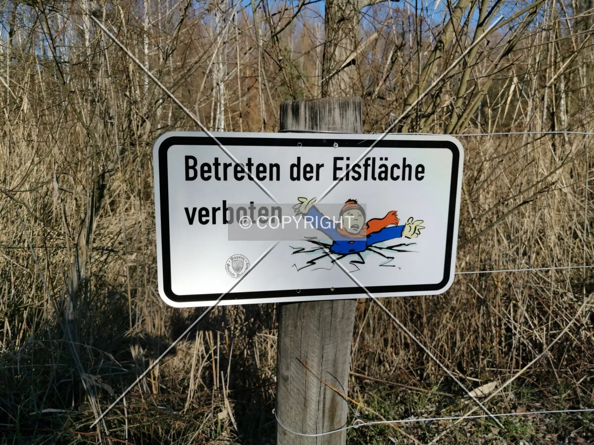 Photo 184-965-526