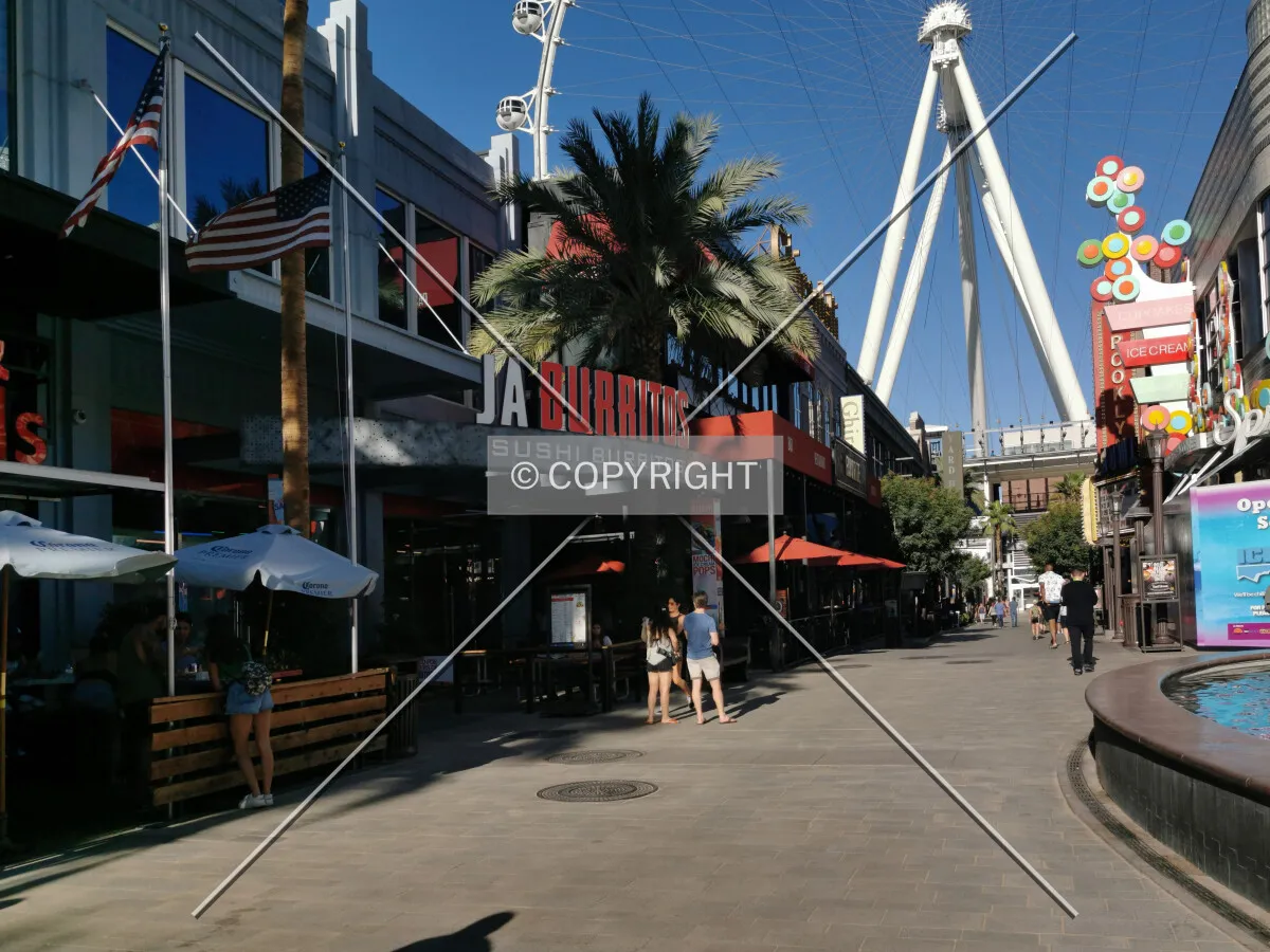 Photo 184-999-524