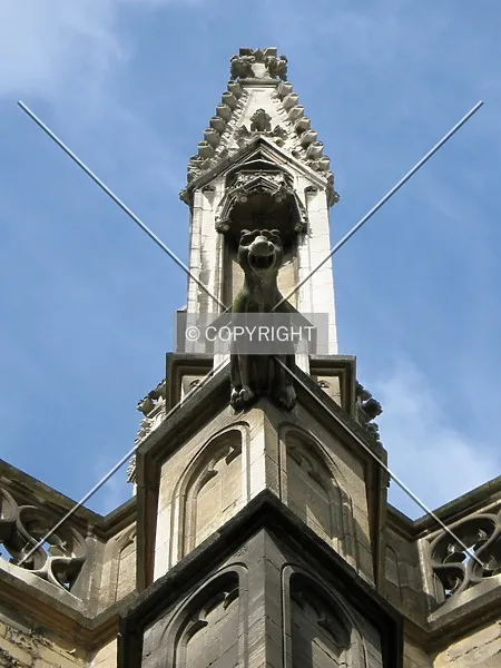Photo 185-002-258