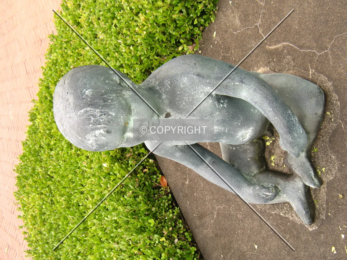 Photo 185-126-736
