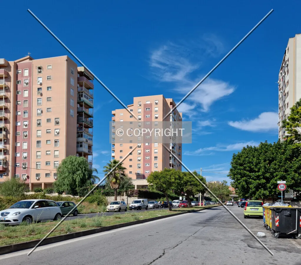 Photo 185-136-989