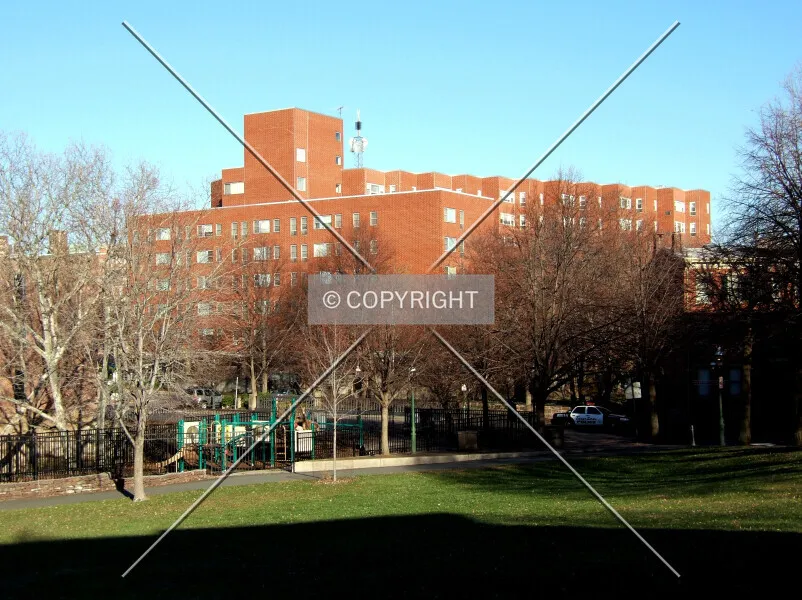Photo 185-252-812
