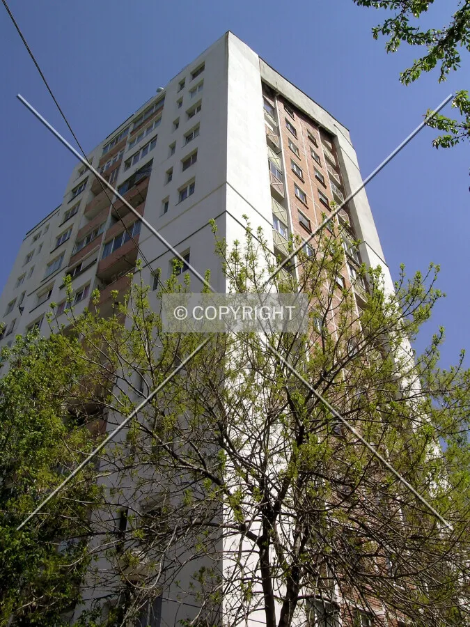 Photo 185-348-279