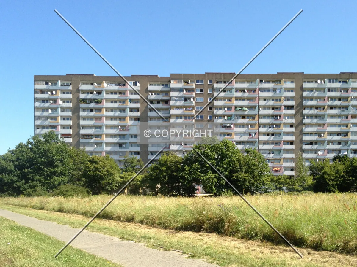 Photo 185-462-673