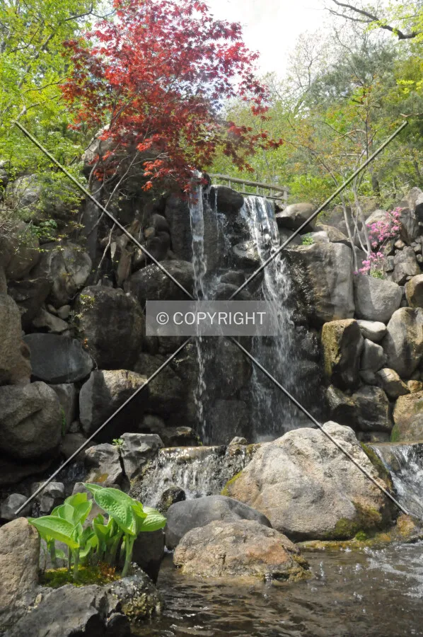 Waterfall in Anderson Gardens