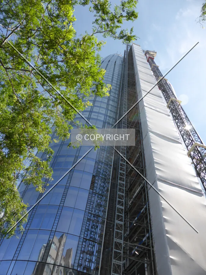 Photo 185-523-032