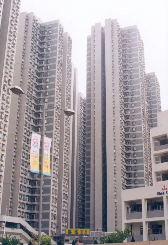 View from the project inner yard