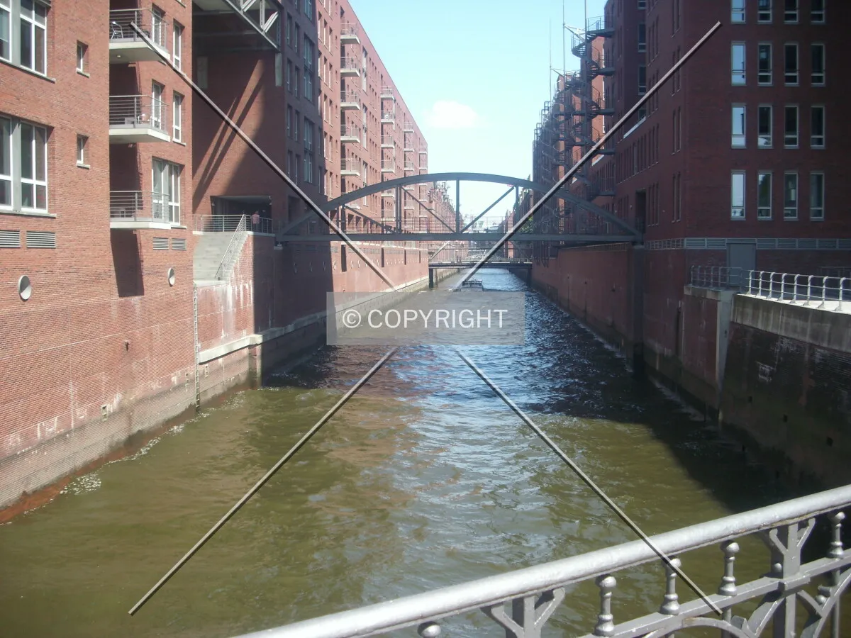 Photo 185-619-211