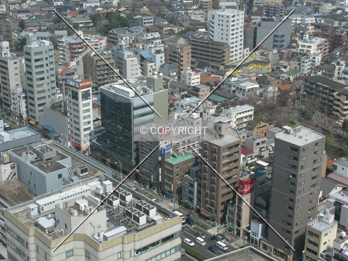 Photo 186-061-705