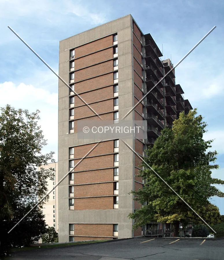 View from the southeast