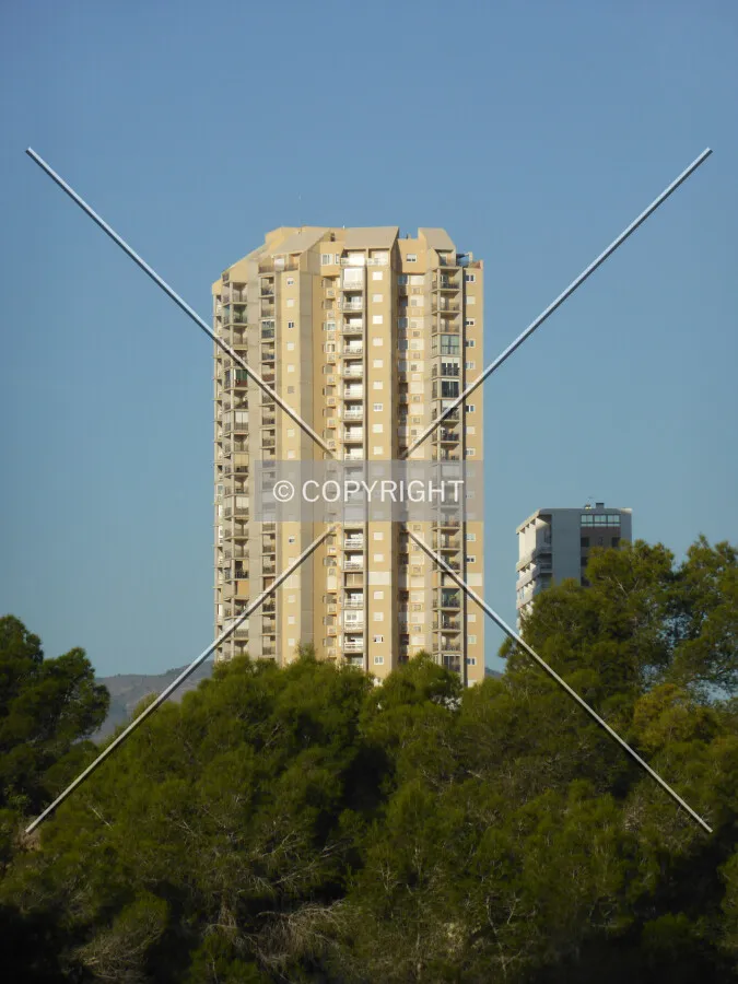 Photo 186-096-772