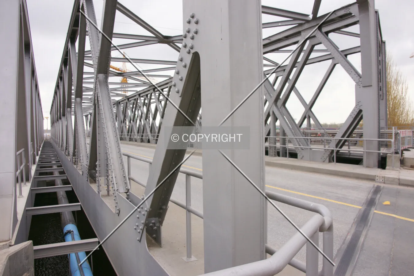 Photo 186-317-876