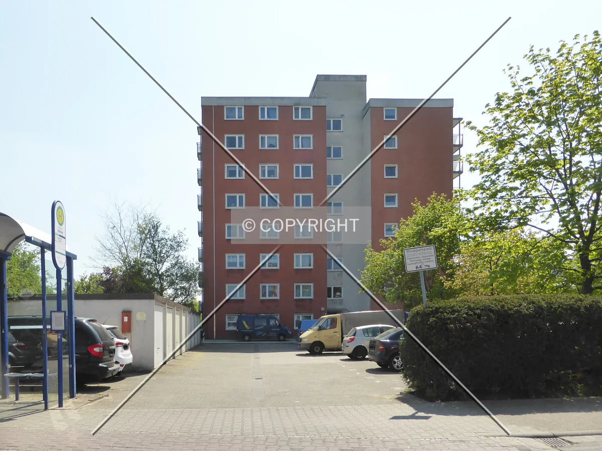 Photo 186-331-373