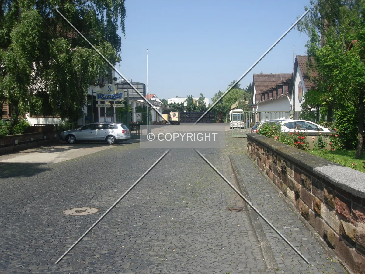 Photo 186-338-753